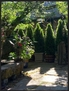 Cozy urban oasis in the garden