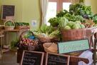 21 Acres farm market, 2 minutes from house