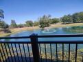 Pond View