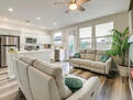 Living Room and Kitchen