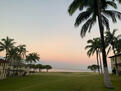 View from the home