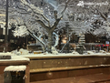 Winter Wonderland!