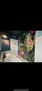 Las Vegas Furnished Post-Modern Beauty