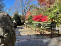 Fall Colors