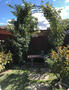 Front Side Yard
