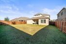 Back Yard Lawn
