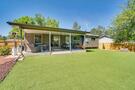 Backyard with turf