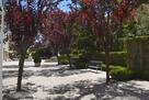 1 Bedroom Condo w Partial Bay Views