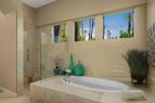 Primary Bath tub and walk in shower