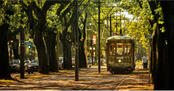 Uptown New Orleans Near Garden District