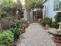 Back Garden