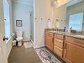 Luxury Furnished Executive The Woodlands