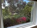 Bedroom with a view