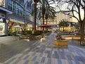 LOVELY 4 BED 3 FULL BATH IN SANTANA ROW