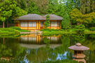 Japanese Garden