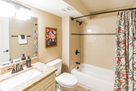 lower level full bath