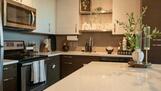 Modern Organic Luxury Loft Downtown Atl