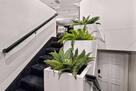 Staircase leading to living room