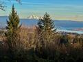 View of Mt Hood from deck