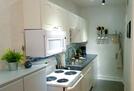Tampa Apartment Furnished 1 BR Hyde Park