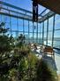 garden in the sky