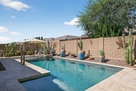 The Azure Desert Bloom Oasis