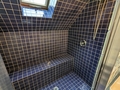 Master bath shower