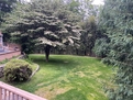 1BR Stonehaven Suite