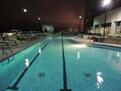 Rooftop pool with Skyline view!