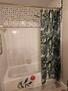 Master shower and tub
