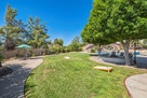 Expansive Backyard Lawn w/11 different Fruit 