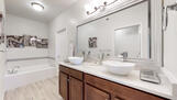 2 sinks in Master Bath