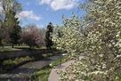 Across the street from Cherry Creek bike path
