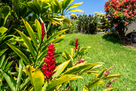 Ocean View 3B2b  Home 800sf OV lanai 