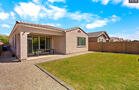 Willow Retreat Near Stadiums & Hospitals