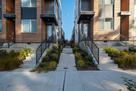 Walkway to the house
