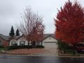 Home in the fall