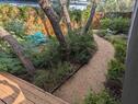 Shaded trail
