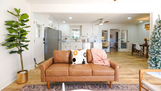 Luxurious MidCentury Modern Home