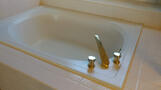 Master bathroom Tub
