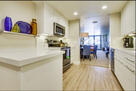 Bayfront Serenity