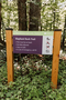 Charming Chapel Hill Guest House