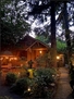 Cozy urban oasis in the garden