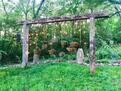 Relax in a beautifully landscaped backyard.