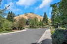 Furnished Home in Walnut Creek CA pool