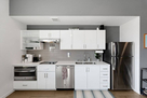 Upscale Furnished Downtown Condo 