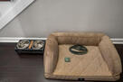 Pet Bed and Accessories
