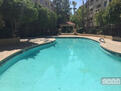 Pool and hot tub