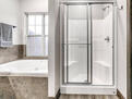Master Shower/Tub