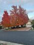 Furnished Home-Quiet Gated Community